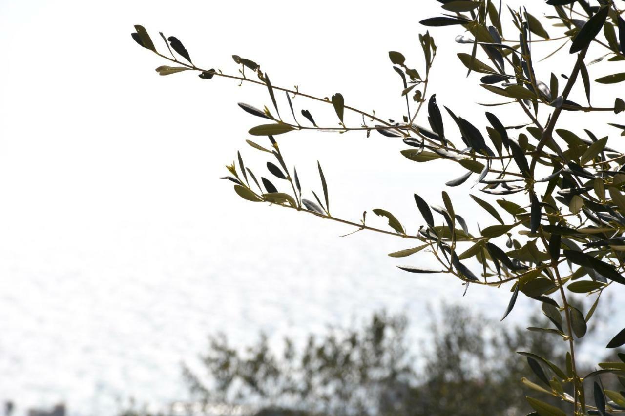 Villa La Torretta à Imperia Extérieur photo